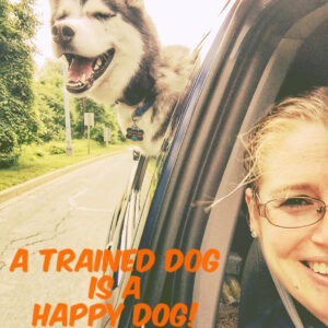 dog training md