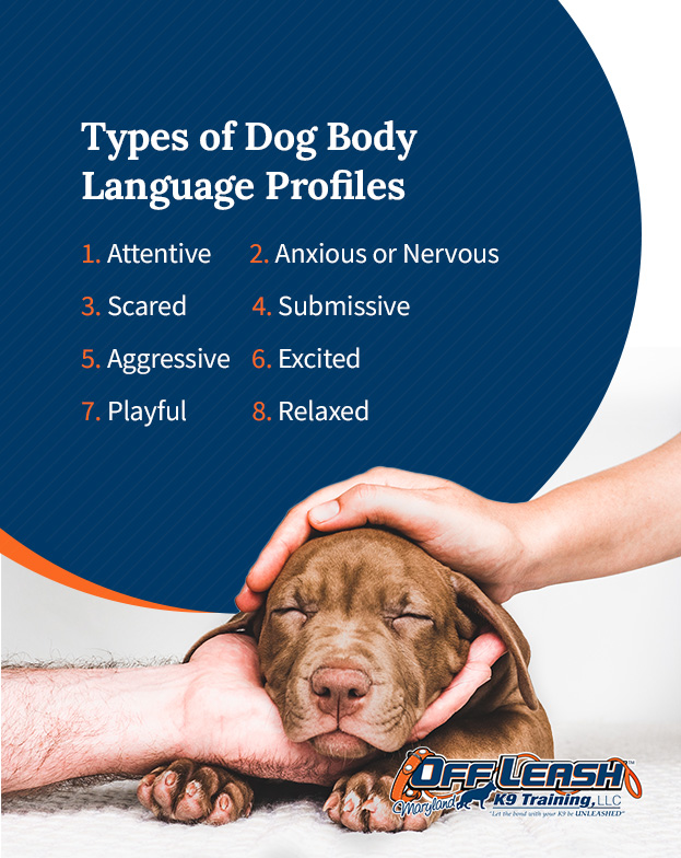 Types of Dog Body Language Guide