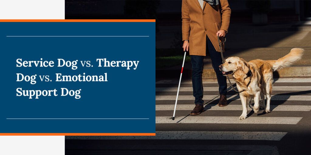 01Servicedogvstherapydogvsemotionalsupportdog Off Leash K9 Training Maryland