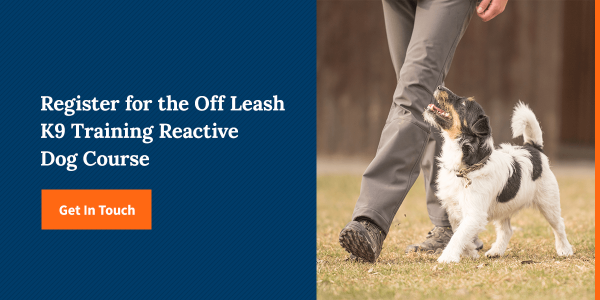 Register for the Off Leash K9 Training Reactive Dog Course