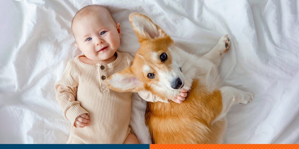 Introducing Your Dog to Your New Baby