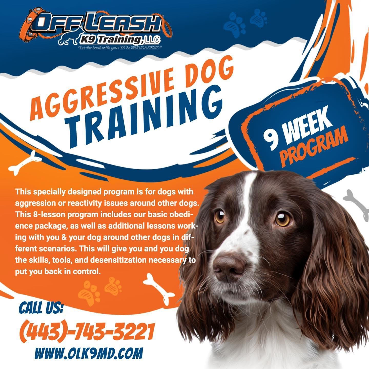 Dog Training Tools for Any Behavioral-Fixing Need