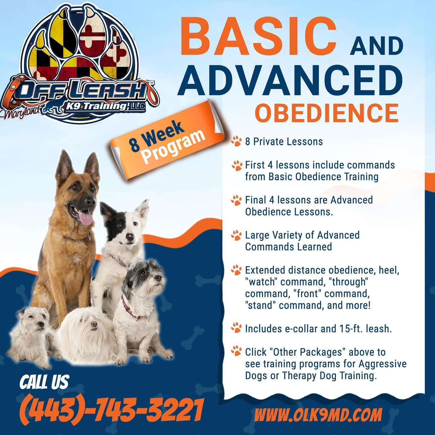 basic and advanced obedience training for dogs graphic