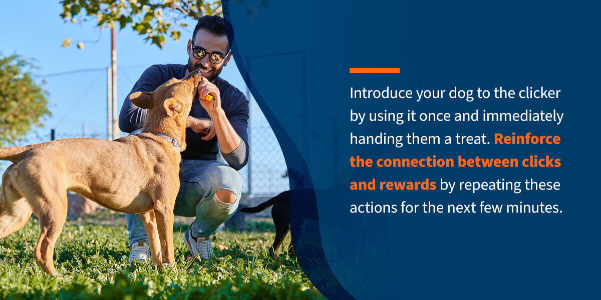 Introduce your dog to the clicker by using it once and immediately handing them a treat.