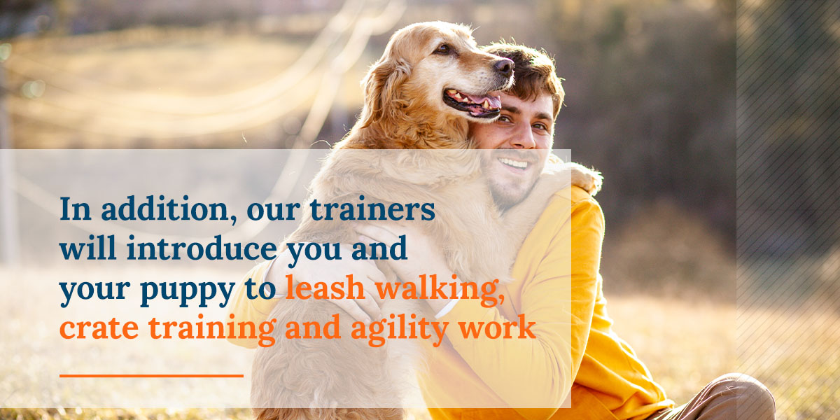 Our Trainers will also introduce you and your puppy to leash walking, crate training and agility work