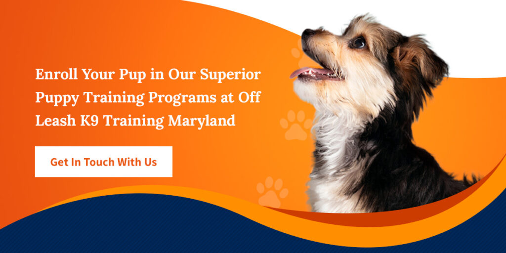 03CTAenrollyourpupinoursuperiorpuppytrainingprograms Off