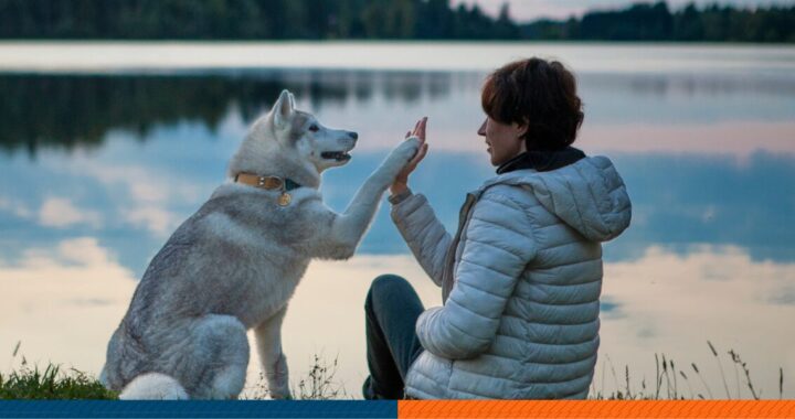 husky together with its owner