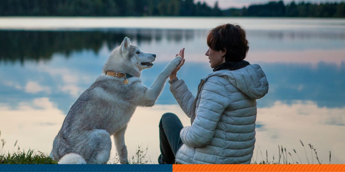 husky together with its owner