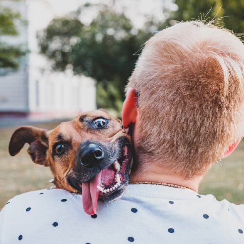 dog hugging a man