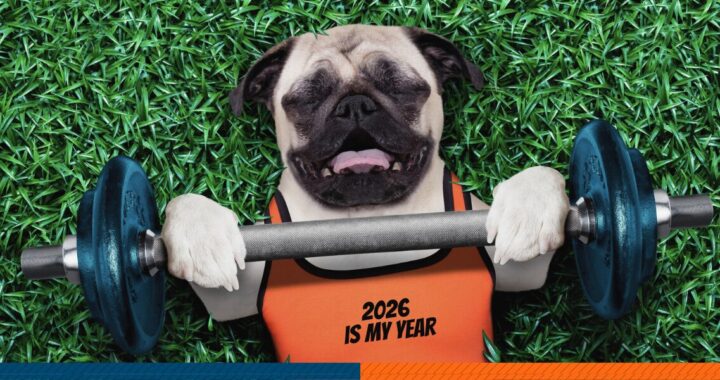 pug doing some bench press